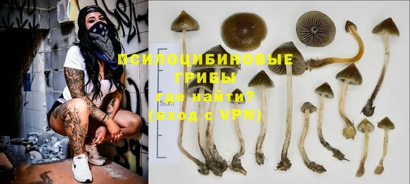 Галлюциногенные грибы MAGIC MUSHROOMS  МЕГА сайт  Орлов 